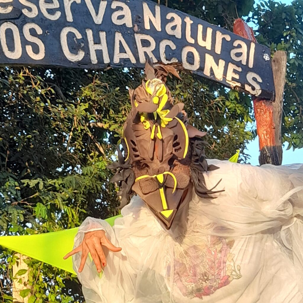 REINO MANGLARIA